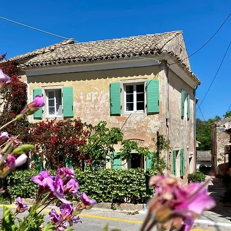 The Little Patio House