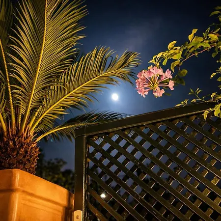 The Little Patio House Appartement Agios Prokopios (Corfu)