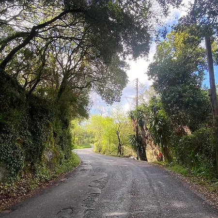 The Little Patio House Lägenhet *