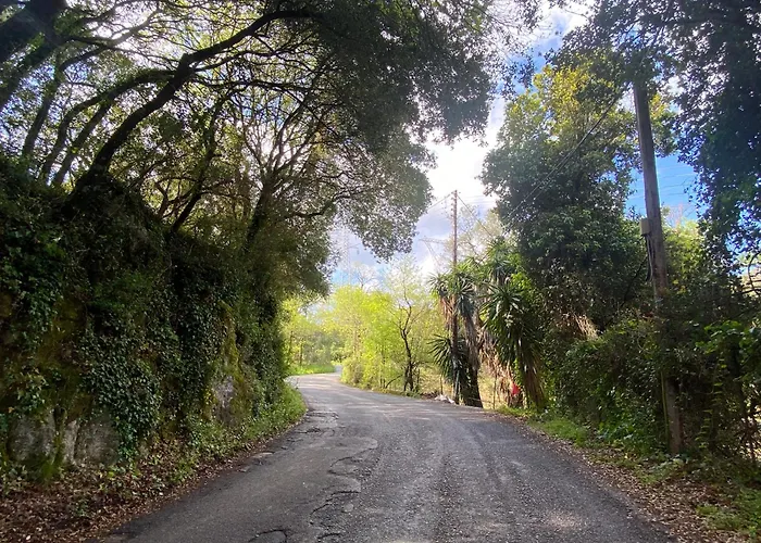 The Little Patio House Lägenhet *